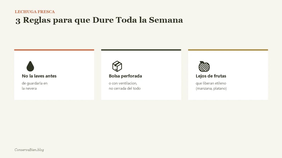 3 reglas para que la lechuga dure fresca toda la semana