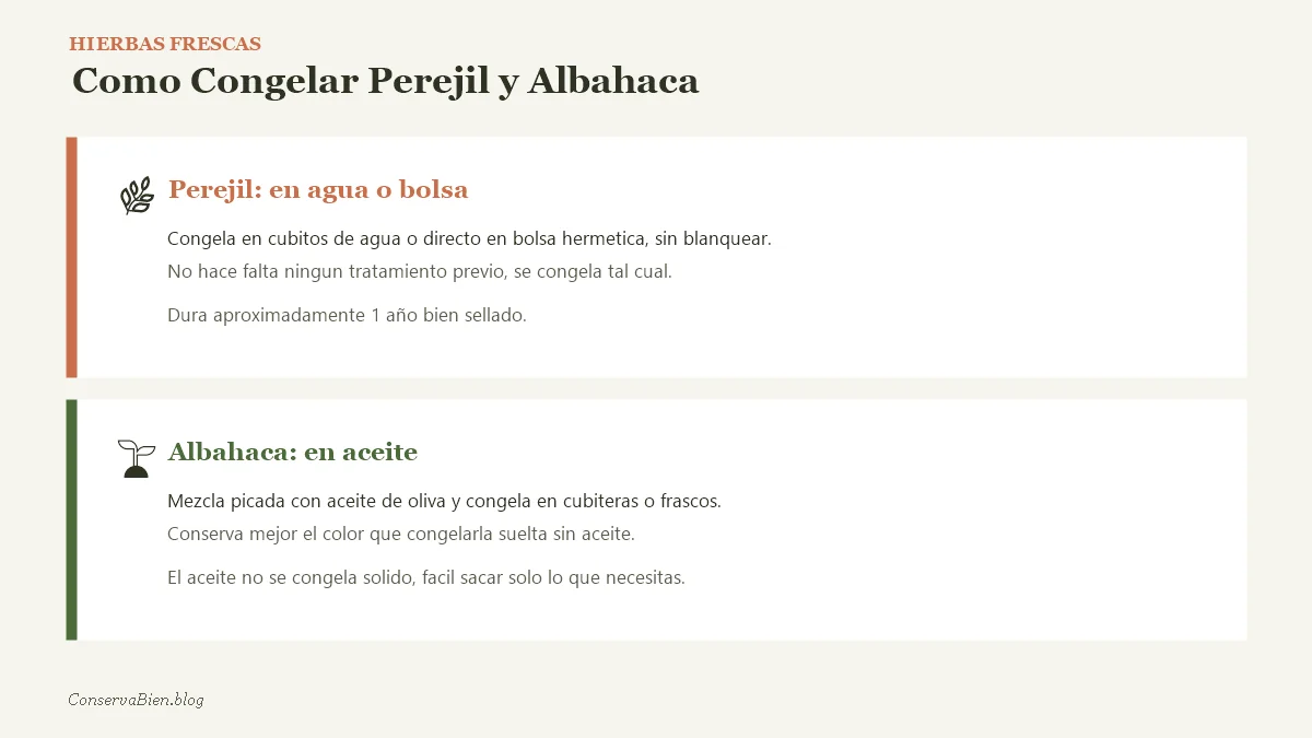 Como congelar perejil en agua y albahaca en aceite