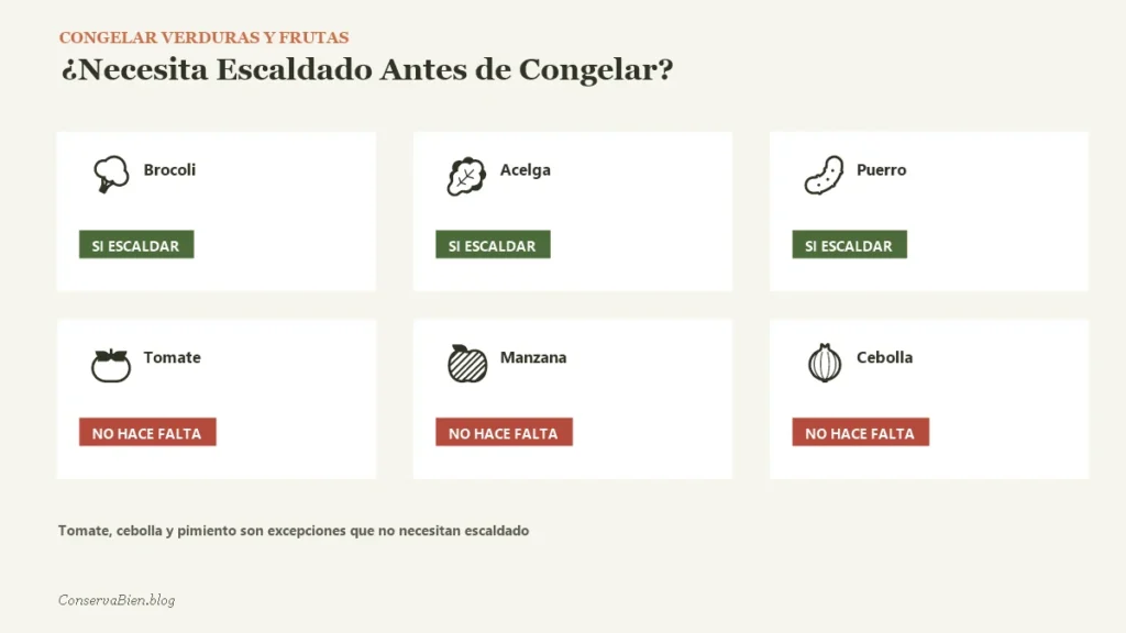 grid-congelar-verduras-1 Grid para congelar verduras frescas